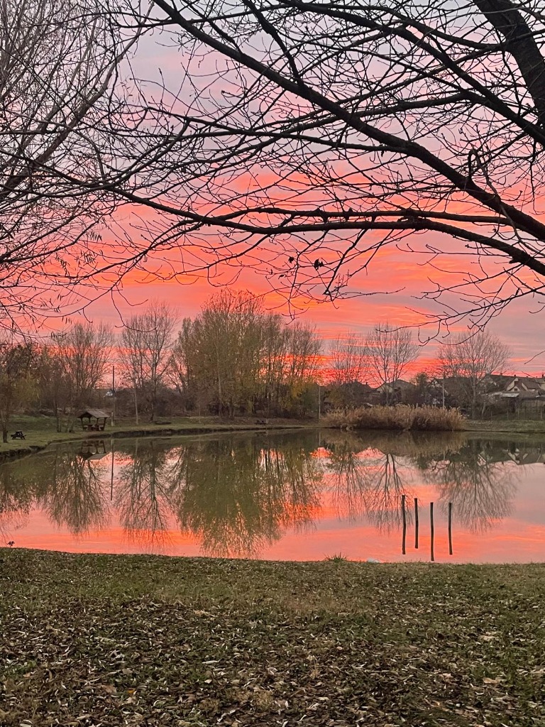 Sunset View at Campus Lake